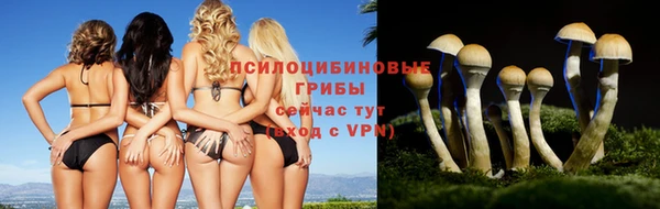 ПСИЛОЦИБИНОВЫЕ ГРИБЫ Горнозаводск