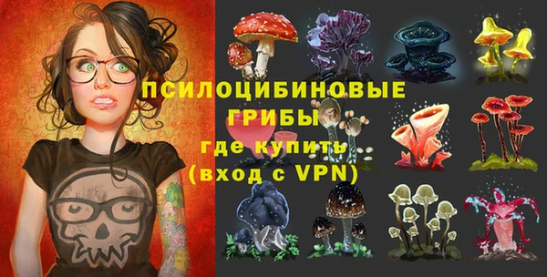 а пвп мука Вяземский