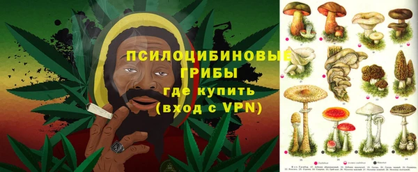 а пвп мука Вяземский