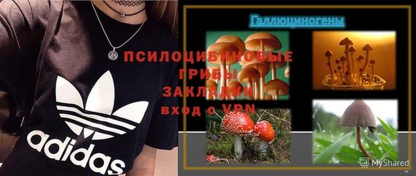 СК Горняк