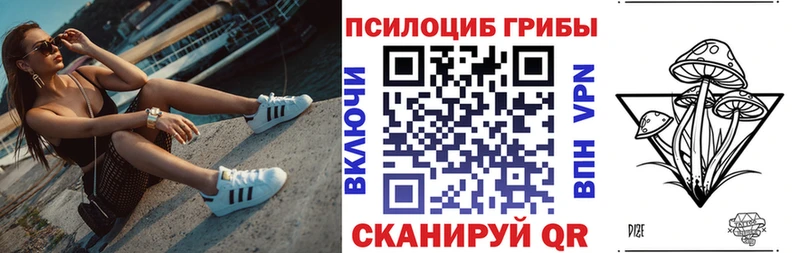 OMG как войти дарнет шоп площадка Telegram Галлюциногенные грибы мицелий Данилов